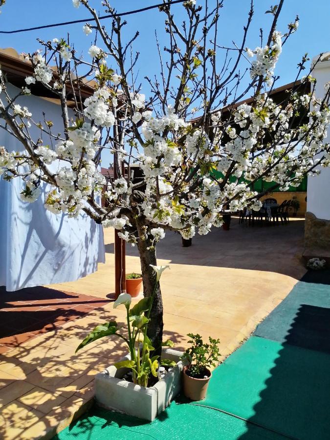 Conjunto Rural Andrea Guest House Moriles ภายนอก รูปภาพ